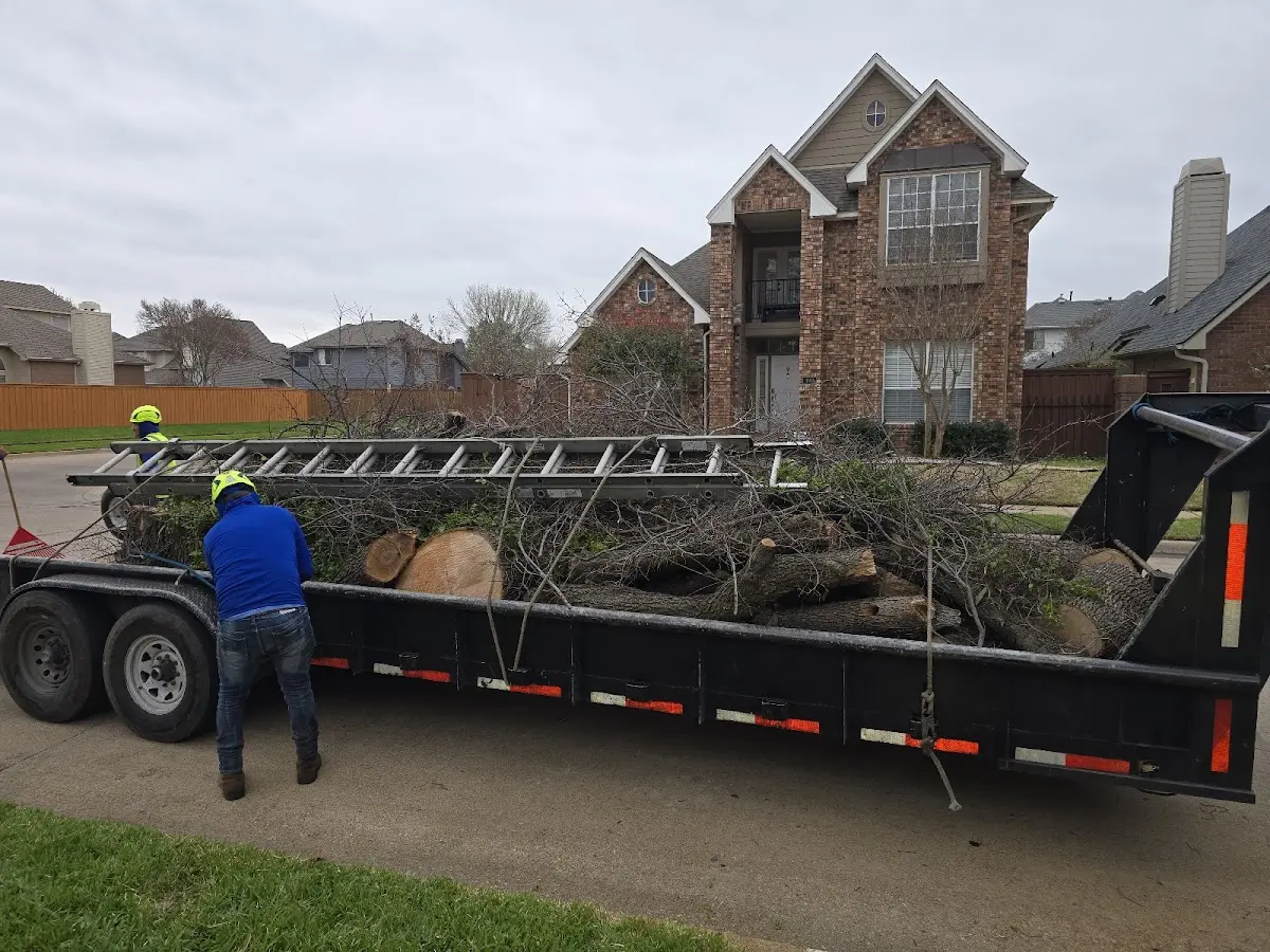 Expert Tree Pest Control with proper safety equipment in Westernville